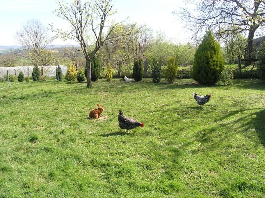 Les Jardins Des 3 Provinces- Gite Montcharvot Екстер'єр фото
