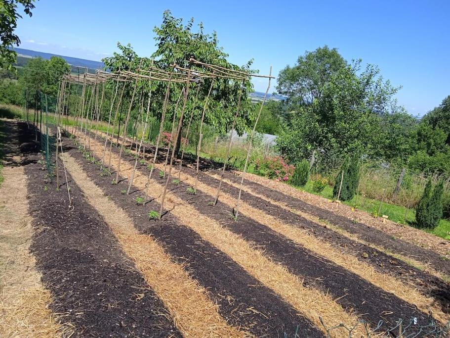 Les Jardins Des 3 Provinces- Gite Montcharvot Екстер'єр фото