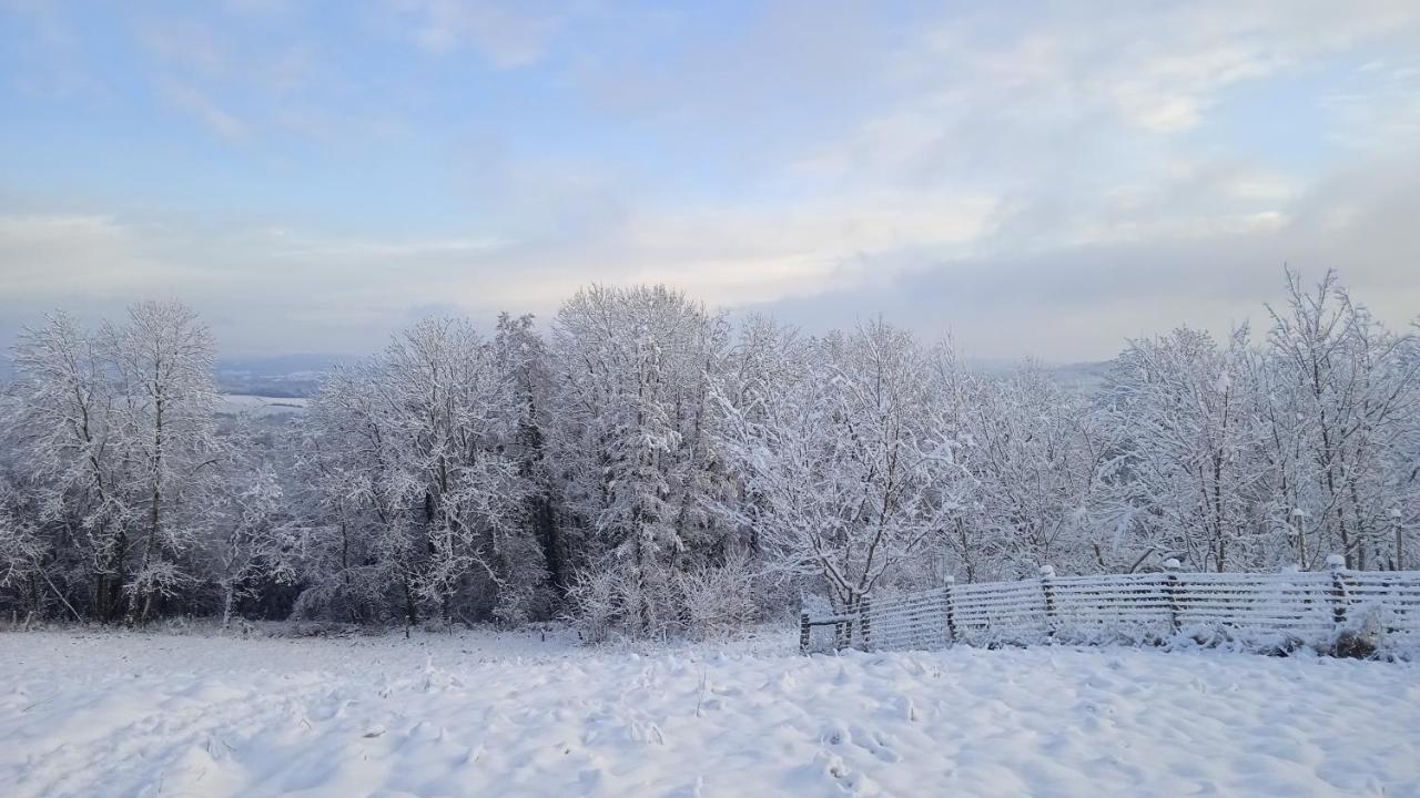 Les Jardins Des 3 Provinces- Gite Montcharvot Екстер'єр фото