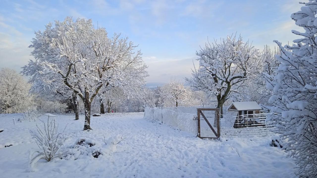 Les Jardins Des 3 Provinces- Gite Montcharvot Екстер'єр фото